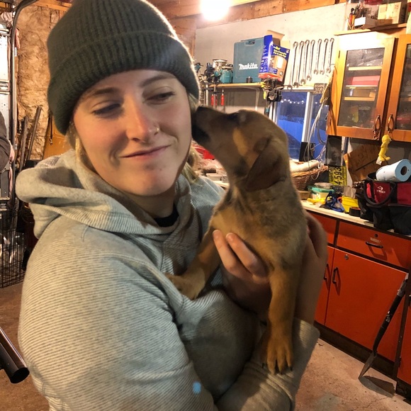 Meet your Posher, Mackenzie - Picture 1 of 1